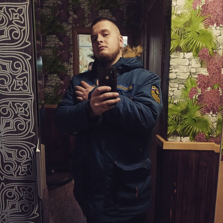  29506471  , 26 ,    