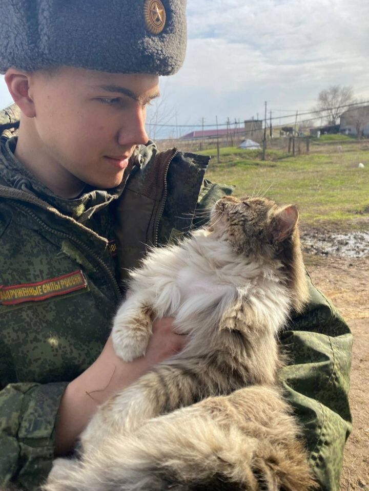 ���� 53884141 ����� �����, 20 ���, ���� ���������� � �����������