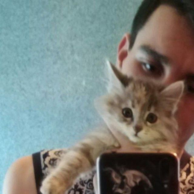  ,   , 25 ,  
