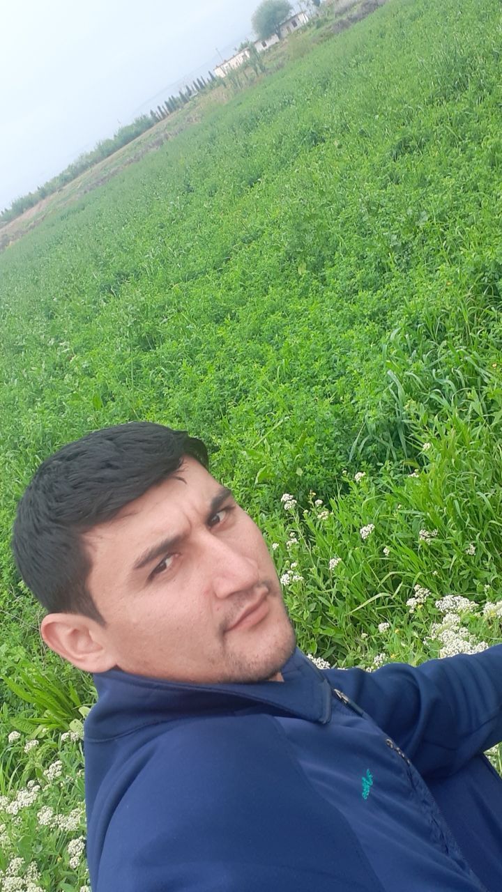 ���� 39777931 ������� ������, 30 ���, ���� ���������� � �����-����������