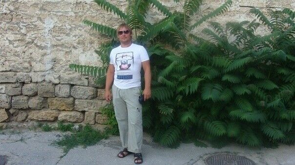 ���� 8310451 ������� �����, 44 ����, ���� ���������� � �������