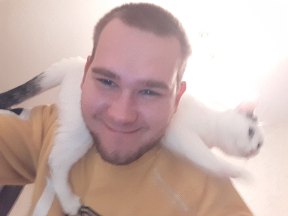  9509331  , 29 ,    -