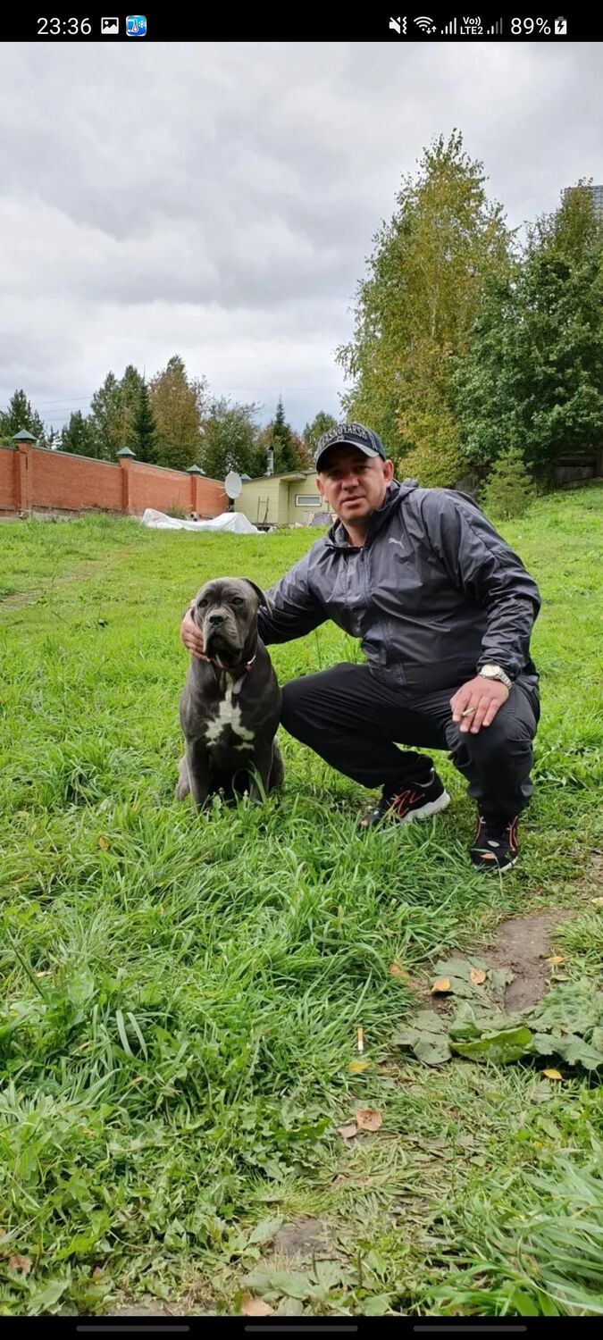 ���������� ����������, ���� ������� ������, 43 ����, ������������ ��� ������, ����� � ���������