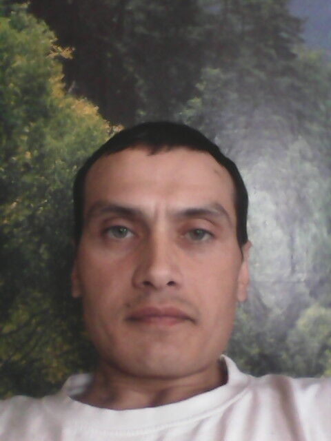  7400261  , 43 ,    