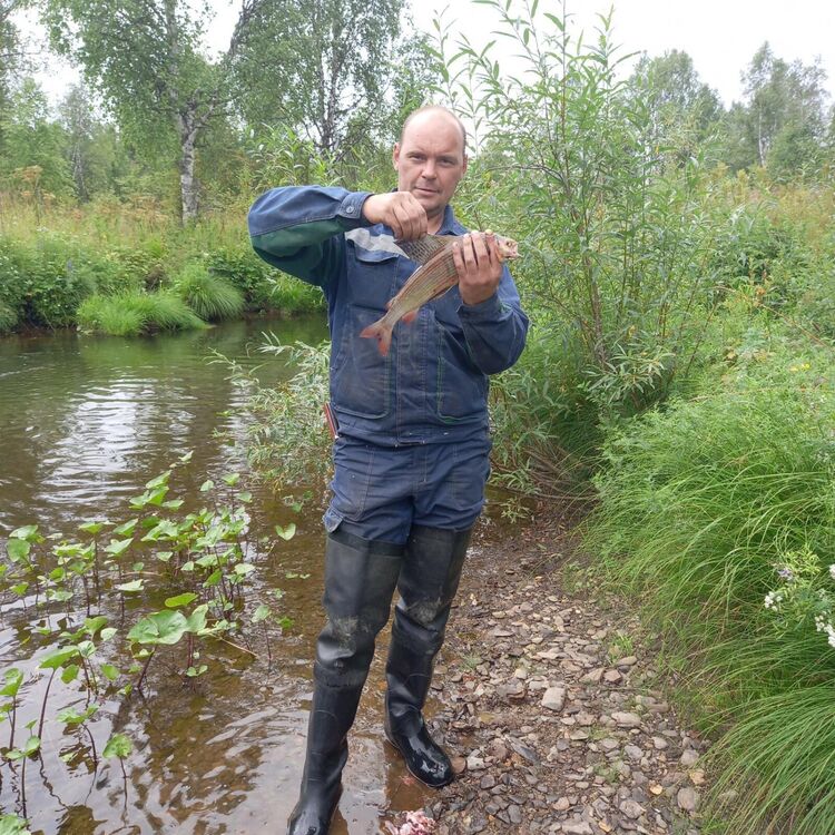 ���� 42371401 ������� �������, 41 ���, ���� ���������� � �����������