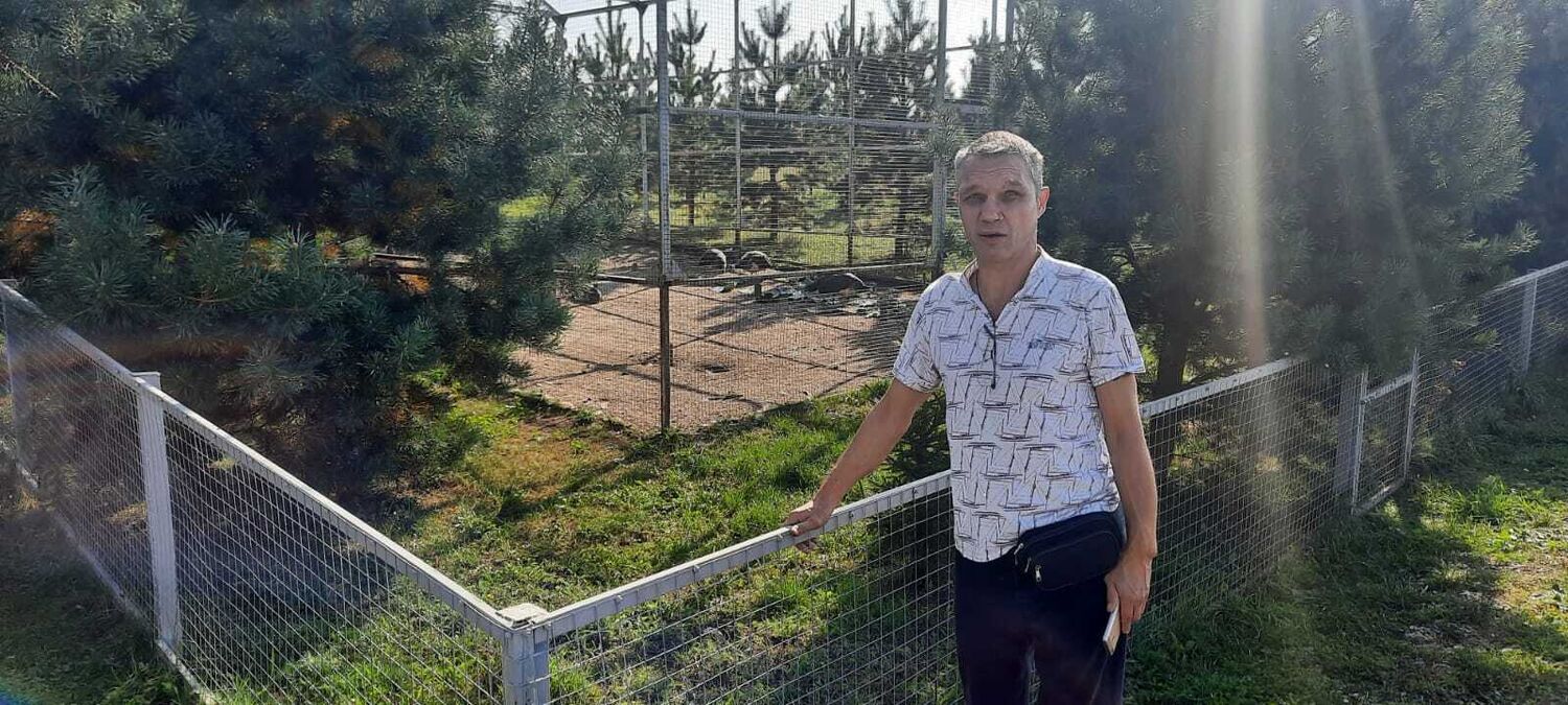 ���������� ������, ���� ������� �������, 48 ���, ������������ ��� ������, ����� � ���������