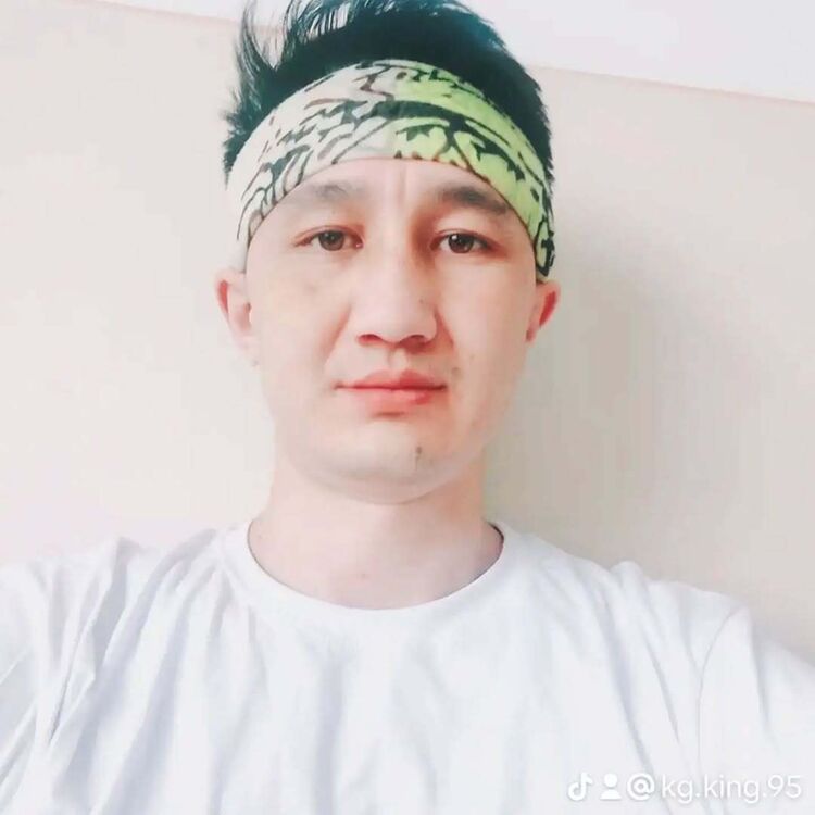  50594031  , 31 ,    -