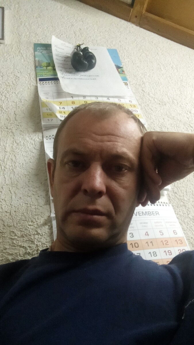  8504281  , 75 ,    