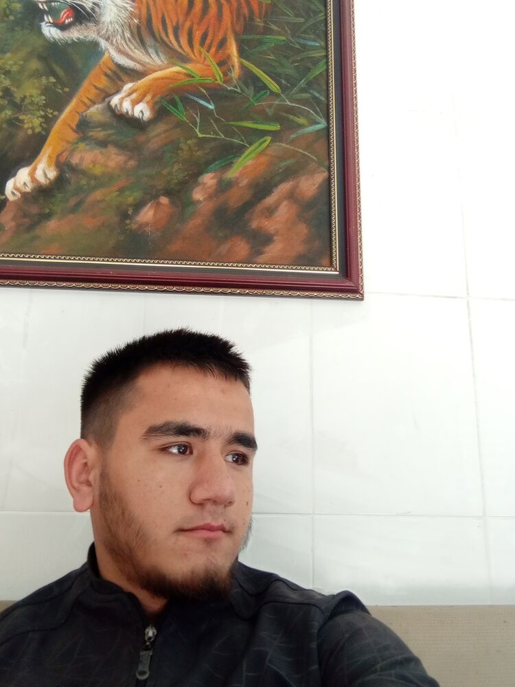 ���� 38566021 ����� ��������, 24 ����, ���� ���������� � ������������