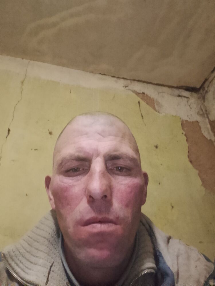  49598801  , 38 ,    