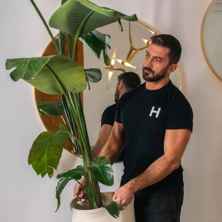 ���� 54859591 ������� ������, 38 ���, ���� ���������� � �����-����������