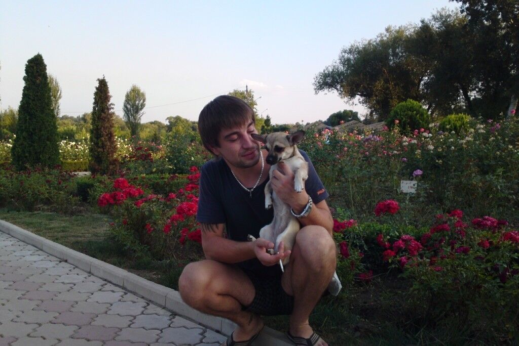 ���������� �������, ���� ������� Dim, 42 ����, ������������ ��� ������, ����� � ���������, c�������� ���������