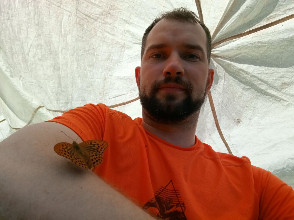 ���������� �����-���������, ���� ������� ����, 36 ���, ������������ ��� ����� � ���������, c�������� ���������