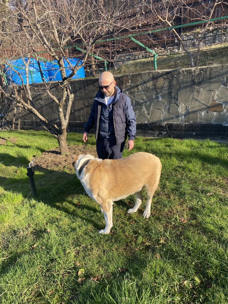 ���������� ����, ���� ������� ������, 34 ����, ������������ ��� ������