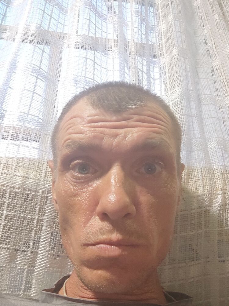  44583121  , 43 ,    