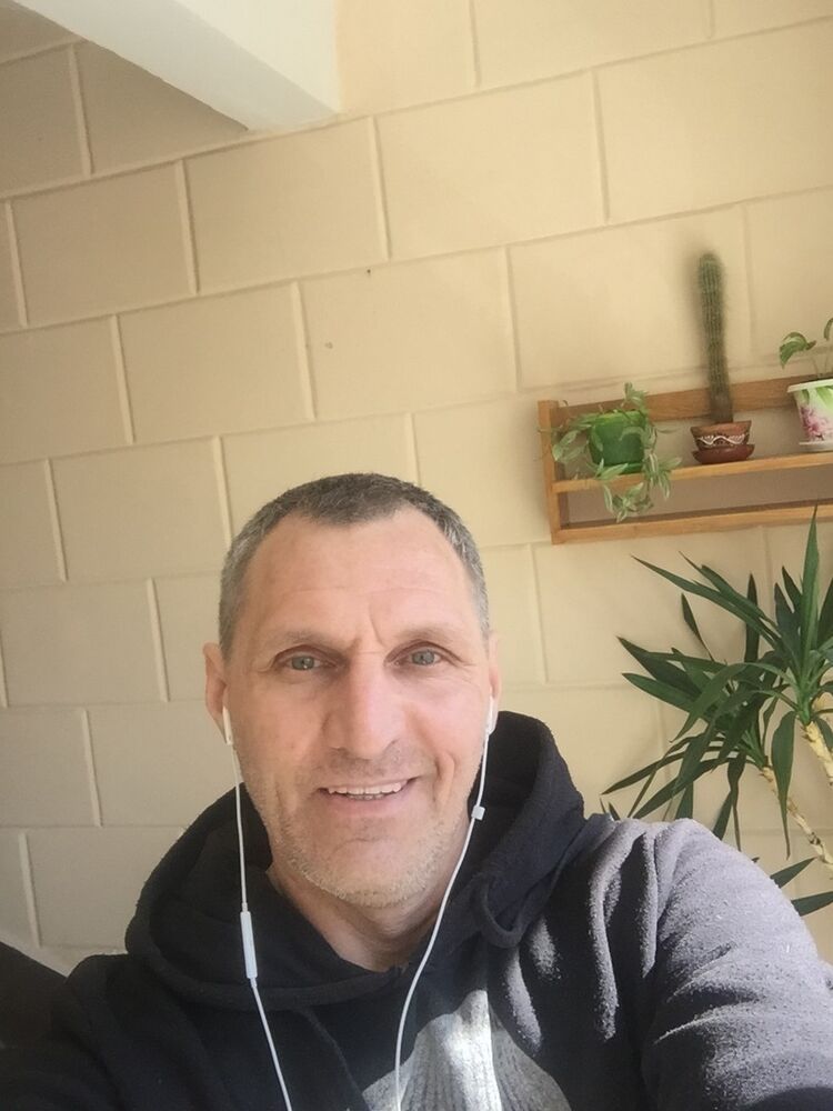  17341981  , 56 ,    -