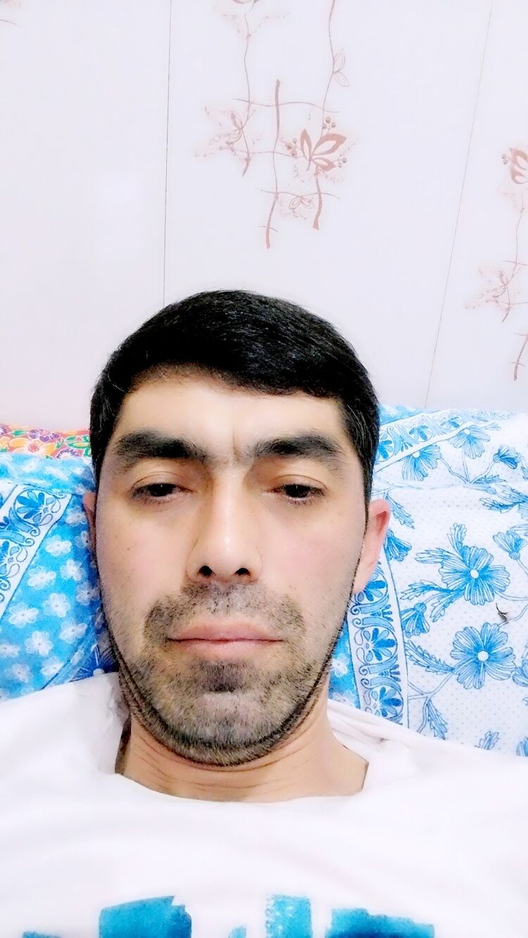 33670831  , 41 ,    