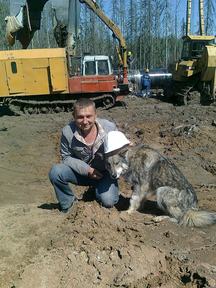 ���������� ���, ���� ������� ����, 34 ����, ������������ ��� ������, ����� � ���������