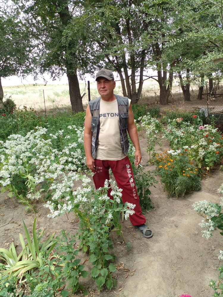  ,   , 51 ,   c 