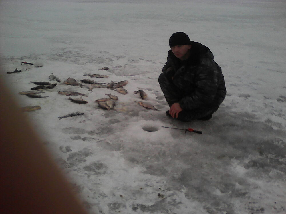 ���������� ������������, ���� ������� ����, 48 ���, ������������ ��� ������, ����� � ���������, c�������� ���������