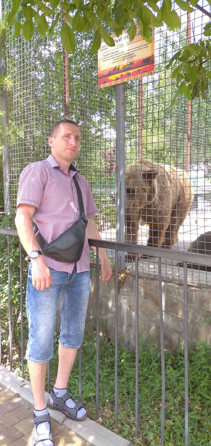 ���� 23359041 ������� ������, 45 ���, ���� ���������� � �������-��-����