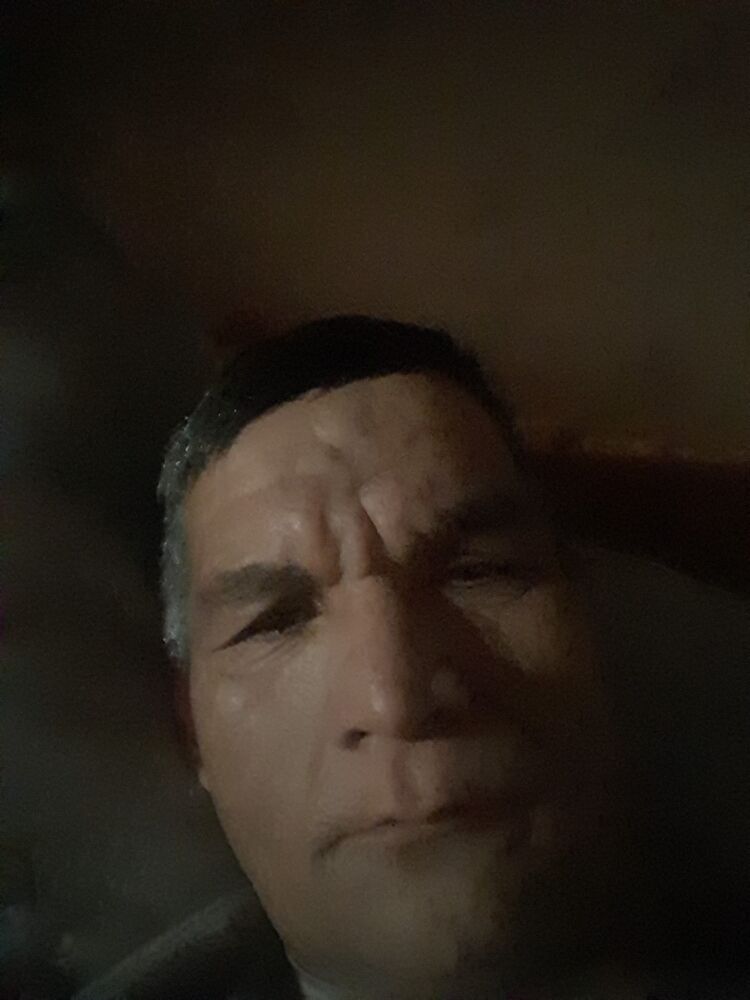 ���� 40867161 ������� ����, 43 ����, ���� ���������� � ����������