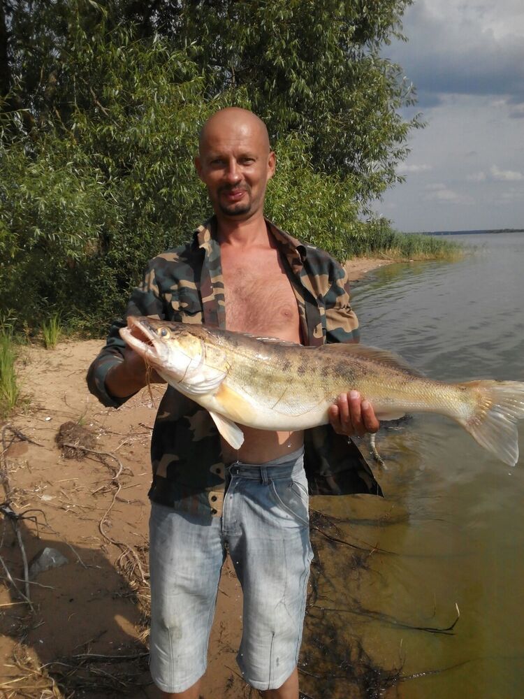 ���������� �����, ���� ������� ���������, 47 ���, ������������ ��� ������, ����� � ���������, c�������� ���������