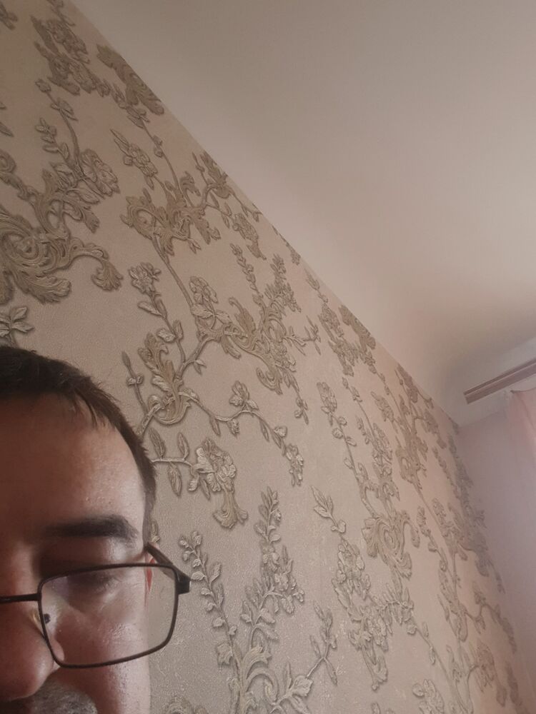  49514121  , 43 ,    