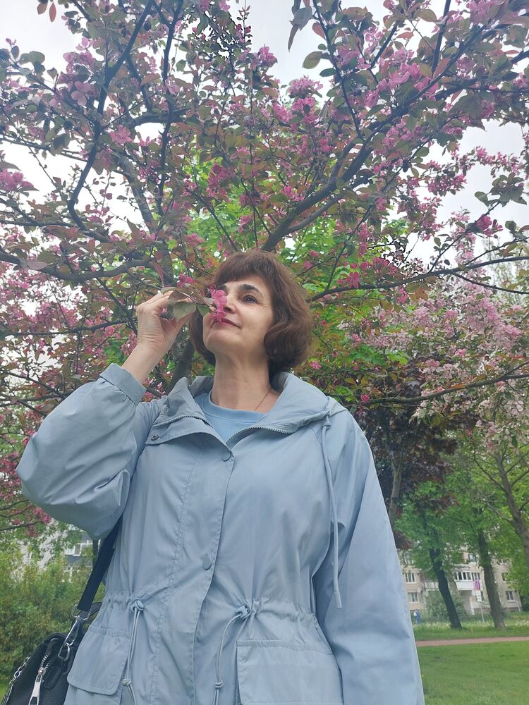  54411461  , 55 ,    -