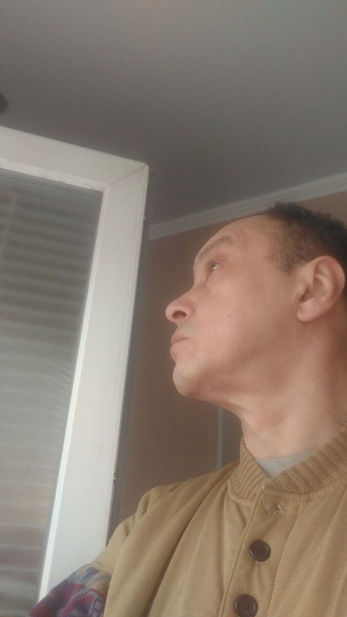  8787081  , 61 ,    