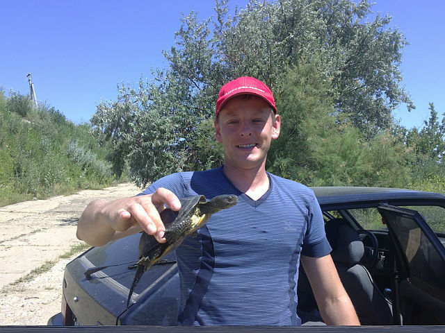 ���� 9535261 ������� ���������, 40 ���, ���� ���������� � �����������