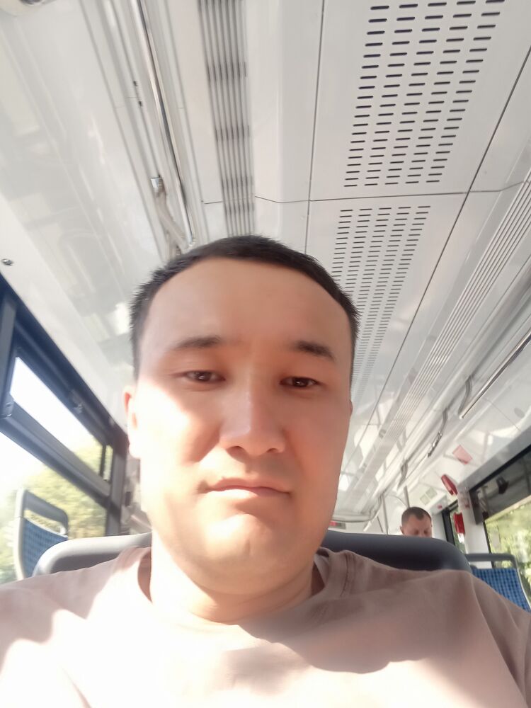 ���� 29462701 ������� ����, 42 ����, ���� ���������� � ������