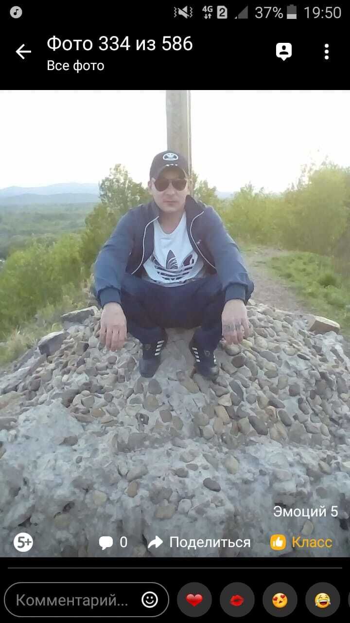 26252431  , 31 ,    