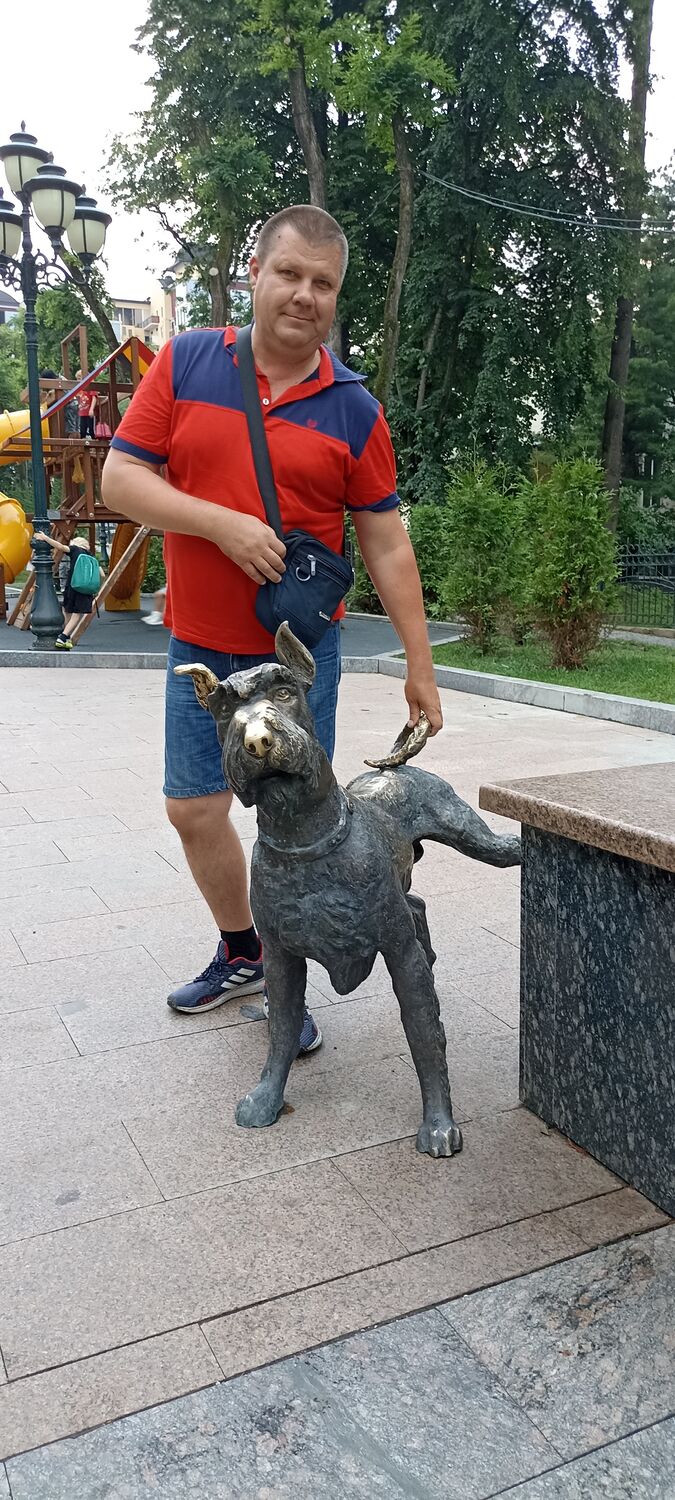  36616581  , 51 ,    