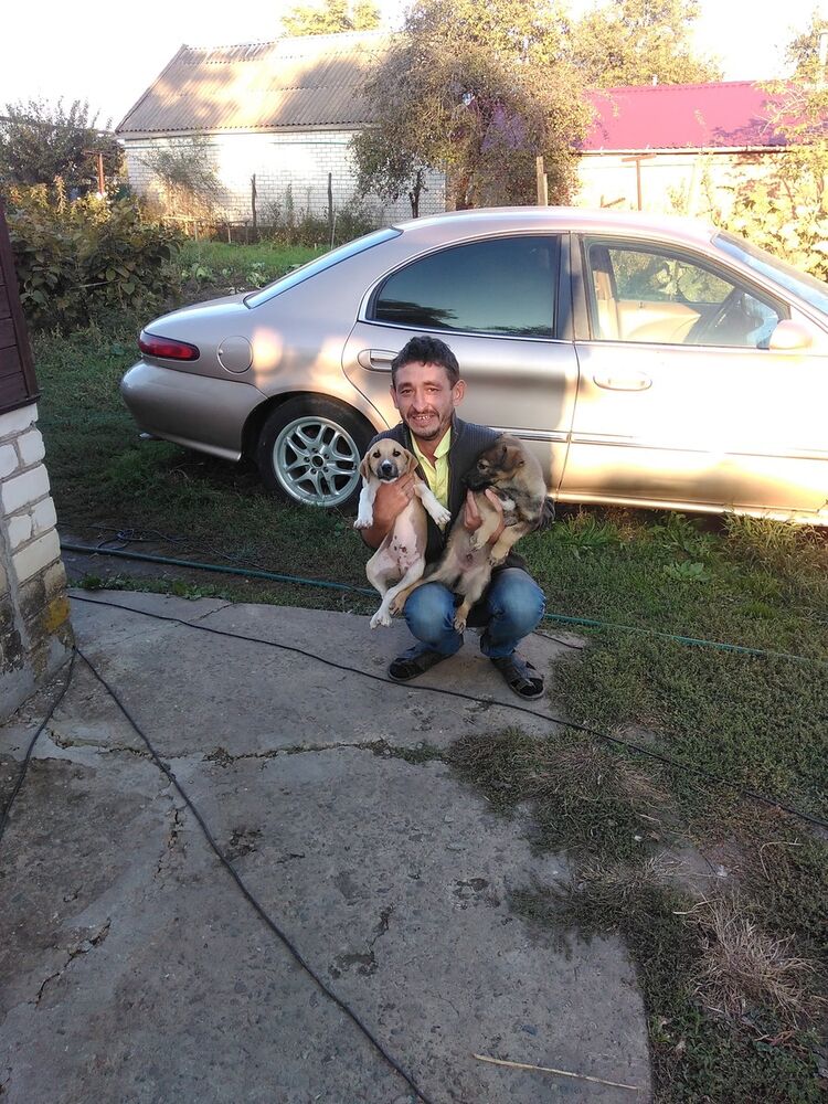 ���������� �������, ���� ������� ������, 43 ����, ������������ ��� ������, ����� � ���������, c�������� ���������