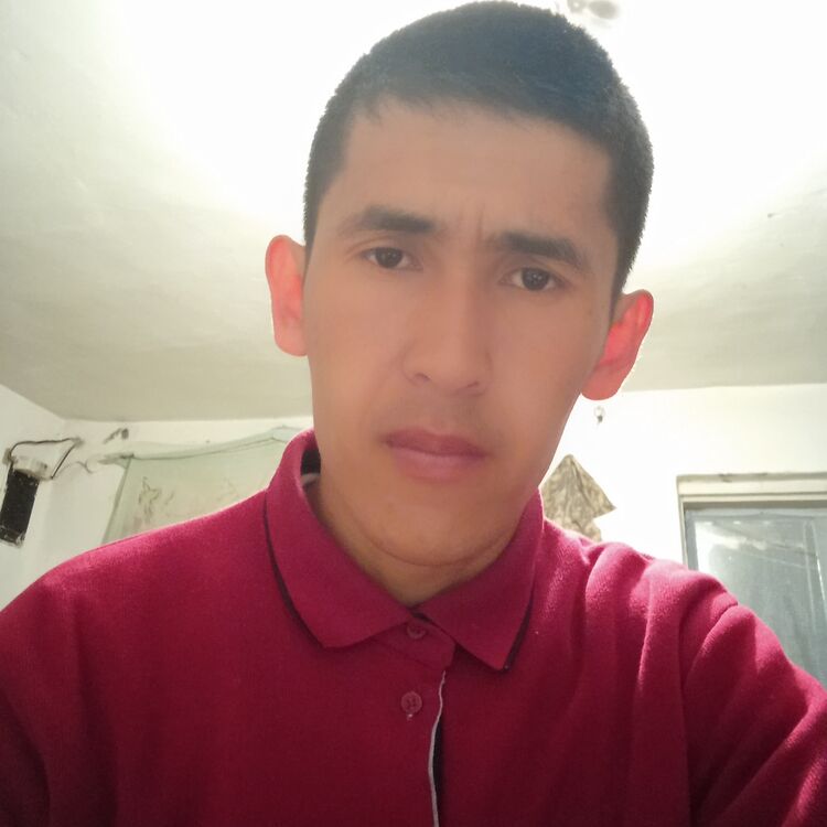 ���� 36048581 ������� �������, 29 ���, ���� ���������� � ��������