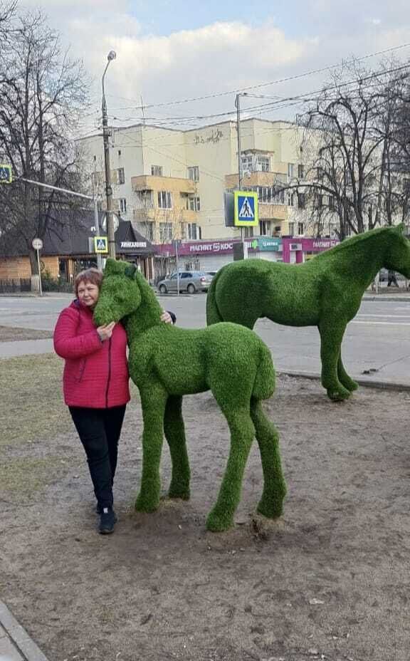  ,   , 48 ,  