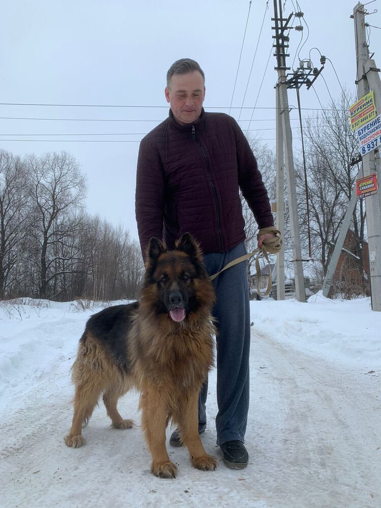 ���� 35586211 ������� �������, 52 ����, ���� ���������� � ���