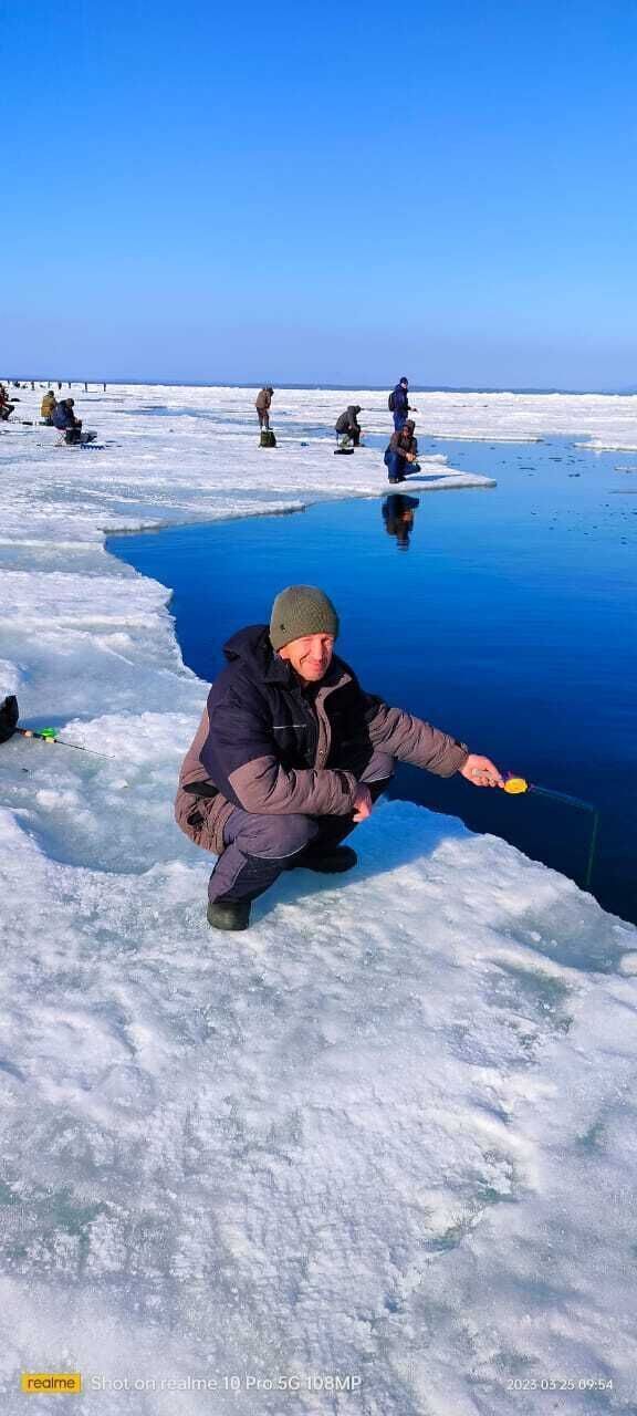  39751951  , 46 ,    -