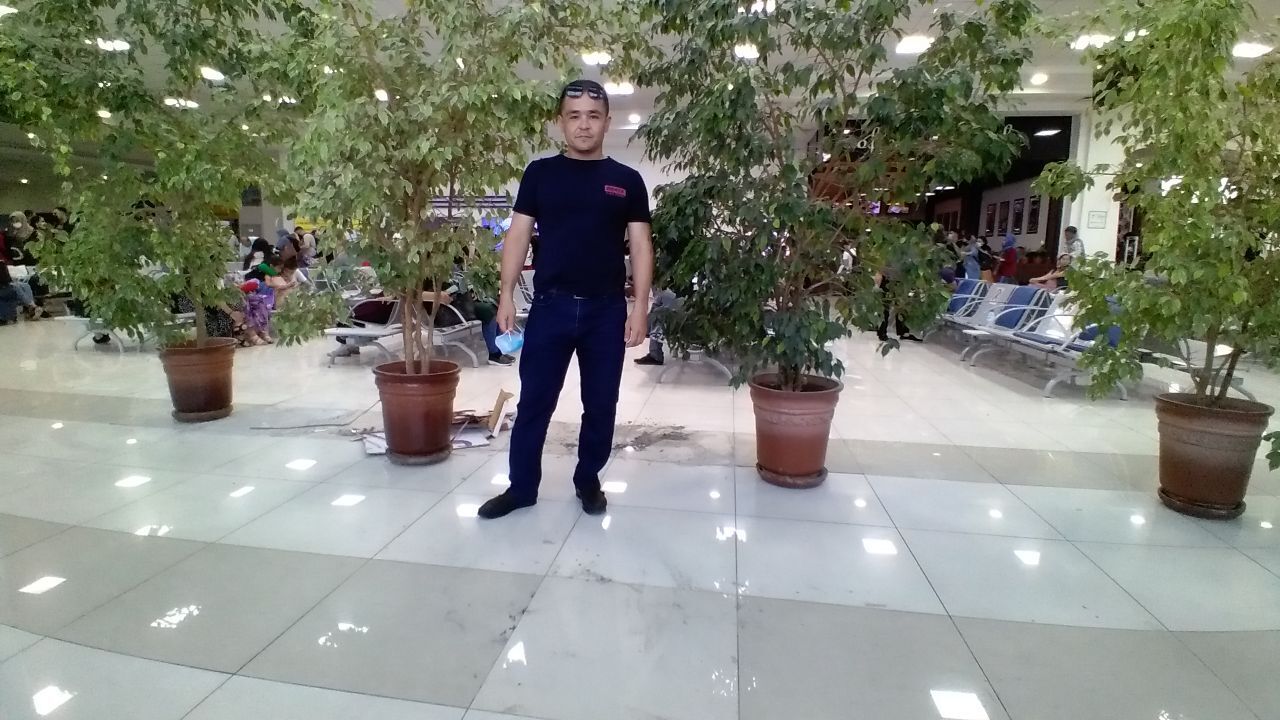  ,   , 41 ,  