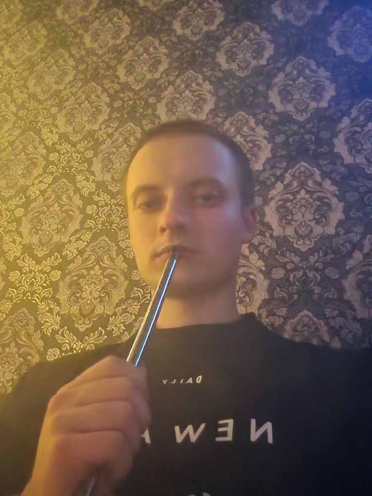  32284781  , 24 ,    