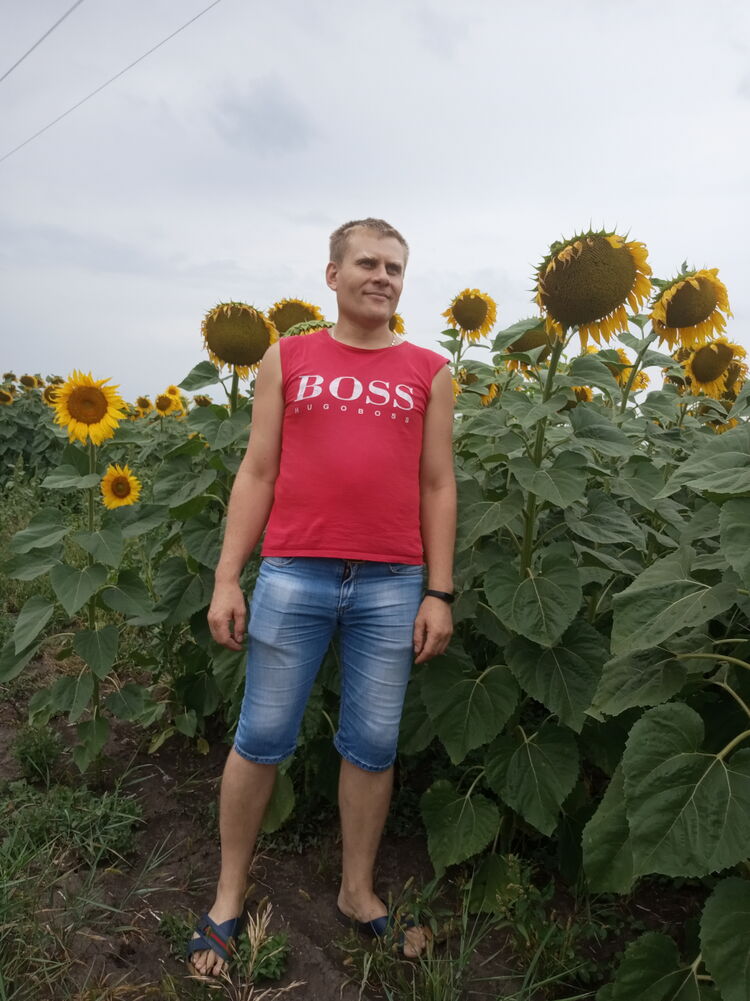 ���������� ����, ���� ������� �������, 43 ����, ������������ ��� ������, ����� � ���������