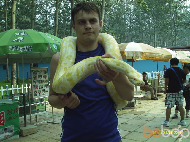 ���������� �����������, ���� ������� ������, 32 ����, ������������ ��� ������, ����� � ���������, c�������� ���������