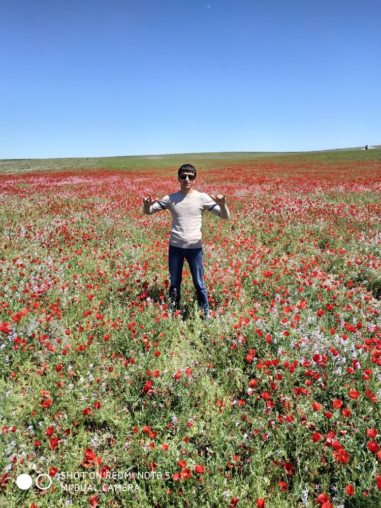 ���������� ������, ���� ������� �����, 38 ���, ������������ ��� ������, ����� � ���������, c�������� ���������, ���������