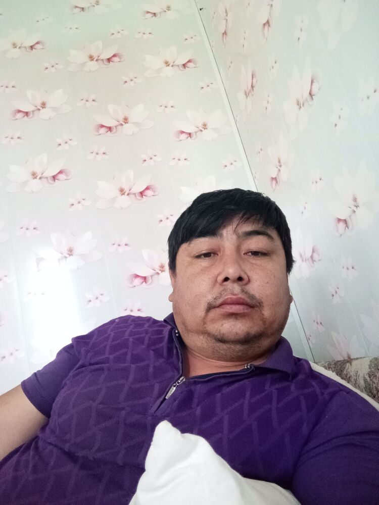  42282661  , 36 ,    