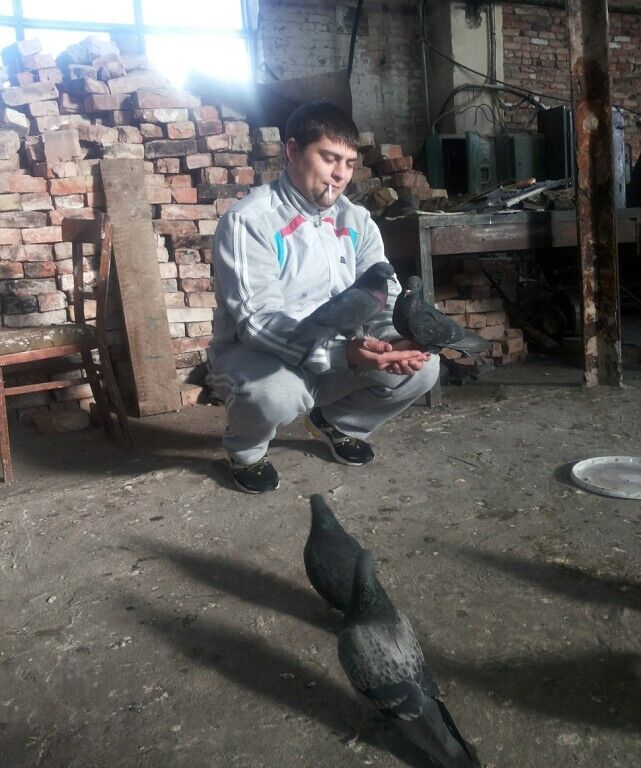 ���������� ������, ���� ������� ����, 39 ���, ������������ ��� ����� � ���������, c�������� ���������