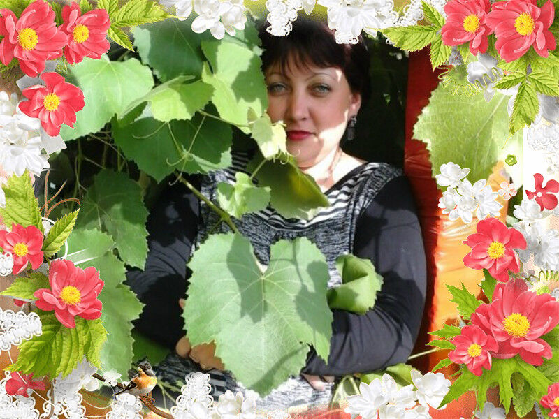 ���������� ������, ���� ������� �����, 47 ���, ������������ ��� ������, ����� � ���������, c�������� ���������