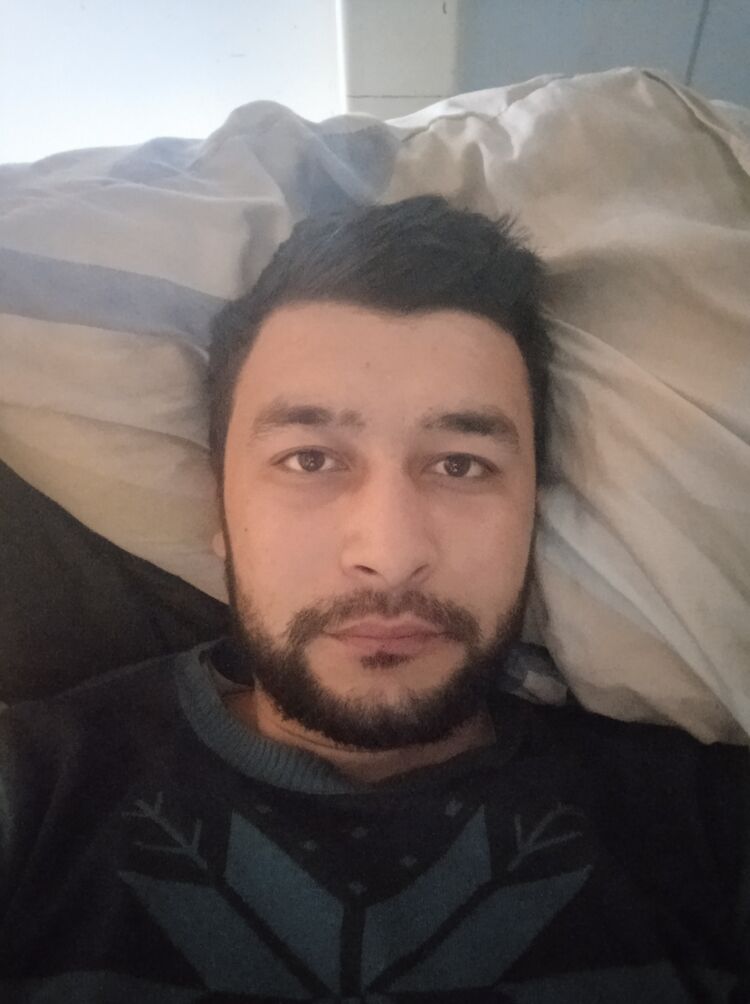  35173731  , 29 ,    