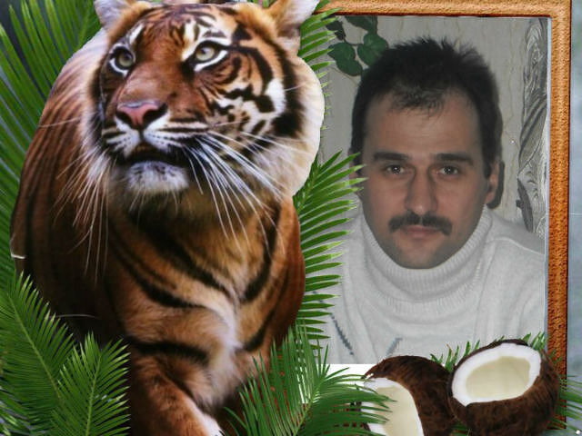 ���� 5477251 ������� �������, 52 ����, ���� ���������� � ������