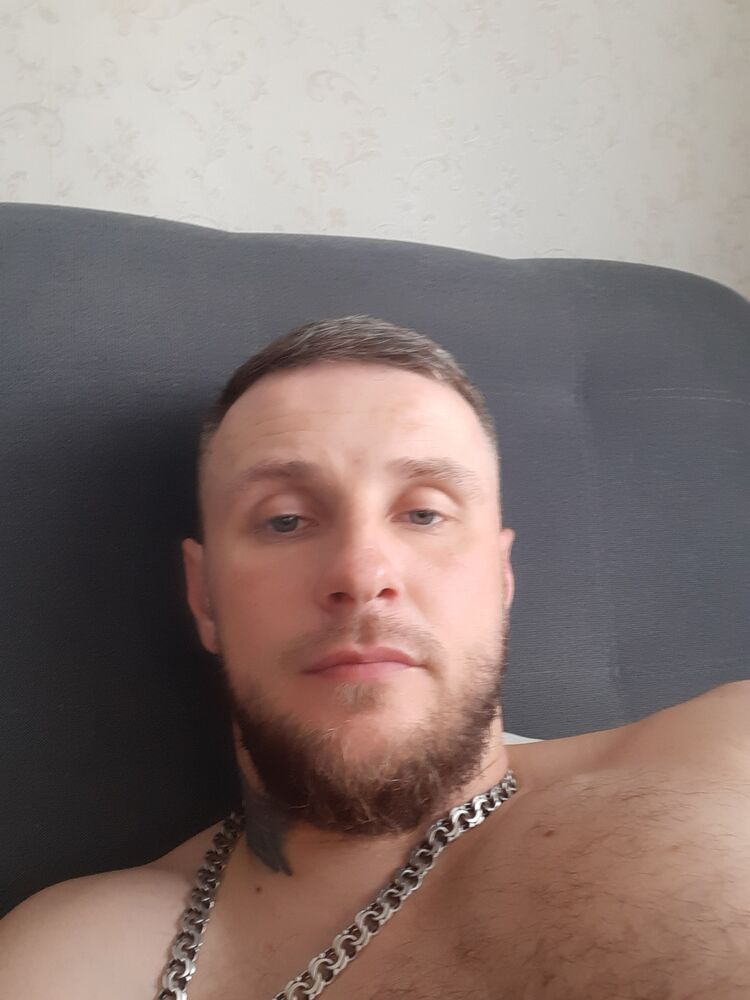  36578511  , 41 ,    